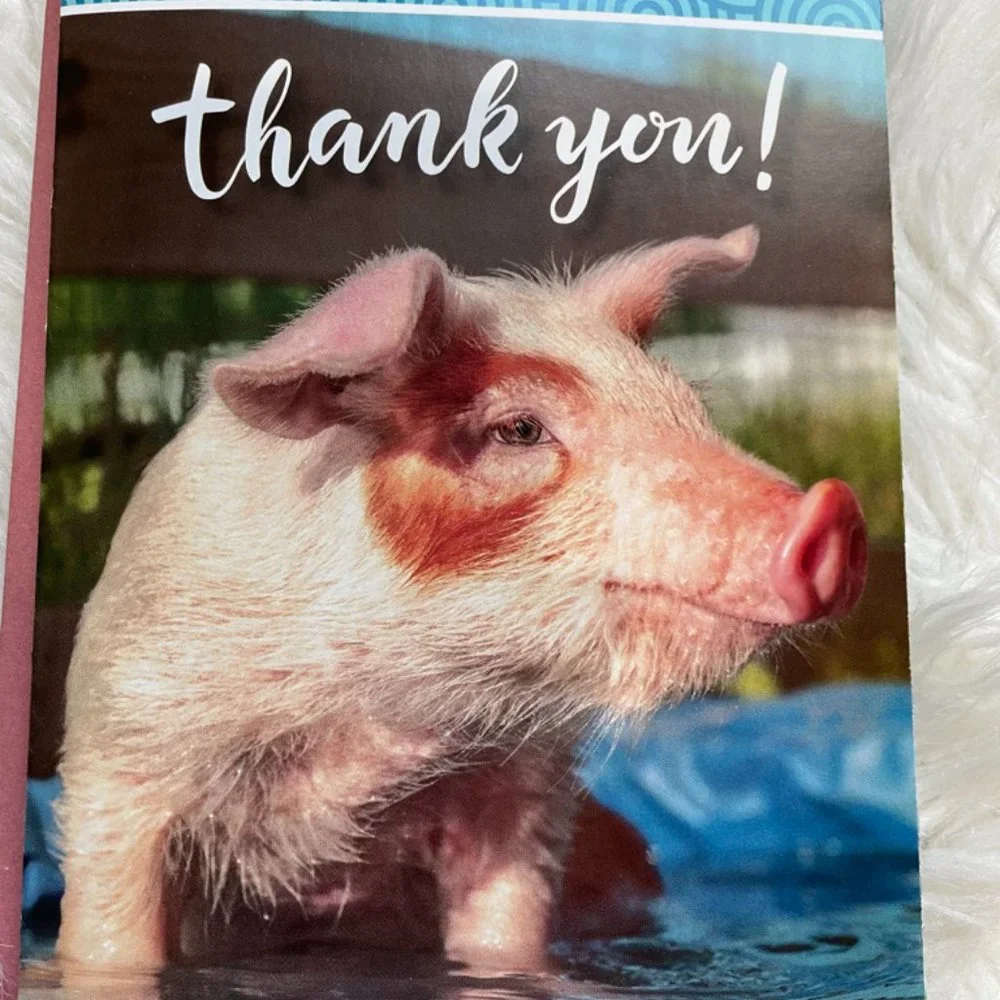 6 Assorted Greeting cards with matching print envelopes (PETA) Blank Inside
